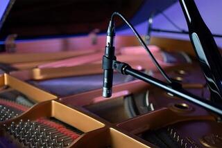 Malomembránový kondenzátorový mikrofón Slate Digital ML-2A Malomembránový kondenzátorový mikrofón - 2