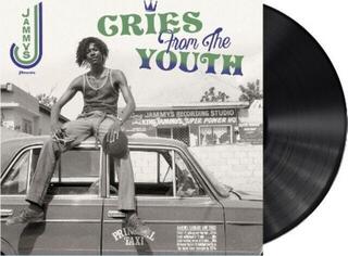Vinylskiva Various Artists - Cries From The Youth (LP) - 1