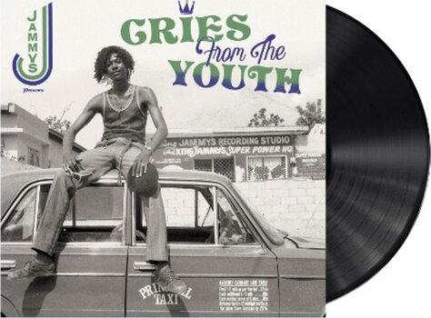 Vinylskiva Various Artists - Cries From The Youth (LP) - 2