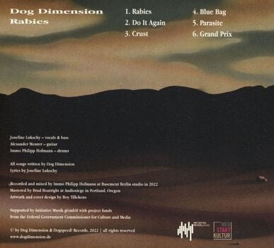 Disco de vinil Dog Dimension - Rabies (Limited Edition) (Green Coloured) (LP) - 2