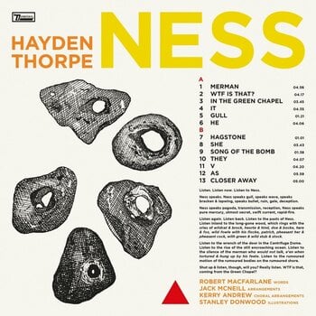 Vinyl Record Hayden Thorpe - Ness (Black Biovinyl Coloured) (LP) - 2