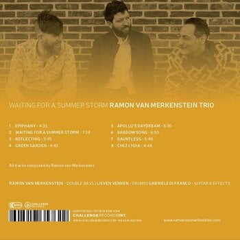 Vinyl Record Ramon van Merkenstein Trio - Waiting For A Summer Storm (LP) - 2