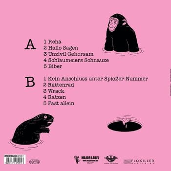 Disc de vinil Shutcombo - Streitgeist (Limited Edition) (LP) - 2