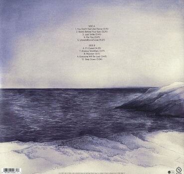 LP plošča Jack In Water - You Don't Feel Like Home (LP) - 2