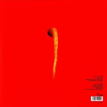 LP ploča Blodwyn Pig - Ahead Rings Out (Reissue) (LP) - 2