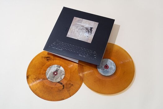 LP ploča Lambchop - The Bible (Limited Edition) (2 LP) - 2