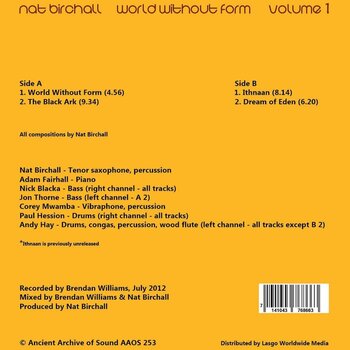 Disque vinyle Nat Birchall - World Without Form Volume 1 (LP) - 2