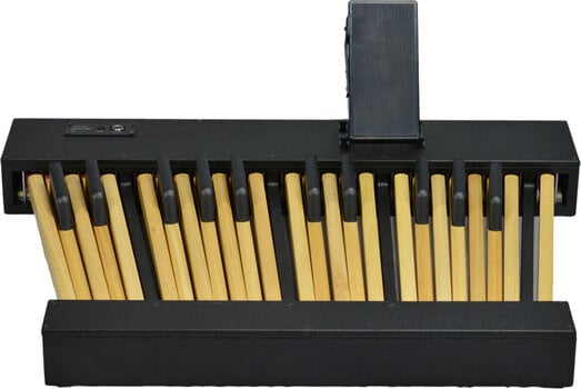 Nožný ovládač pre klávesový nástroj Viscount Legend Pedalboard 25 Nožný ovládač pre klávesový nástroj - 2