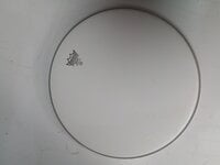 Remo BJ1100-L1 Coated Topside Low Collar 11" Banjo vel