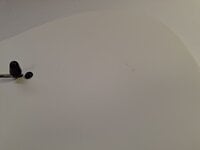 Fender Jim Root Jazzmaster Arctic White E-Gitarre