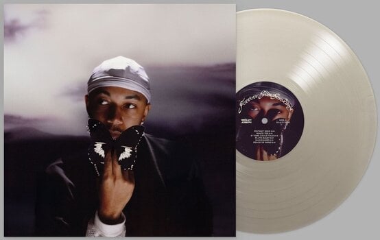 Schallplatte Wesley Joseph - Forever Ends Someday (Natural Coloured) (LP) - 2