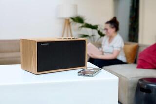 портативна колонка Thomson WS502 портативна колонка - 7