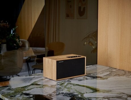 Prenosivi zvučnik Thomson WS502 Prenosivi zvučnik - 9