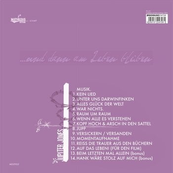 Vinilinė plokštelė Jupiter Jones - Raum Um Raum (Reissue) (2 LP) - 2
