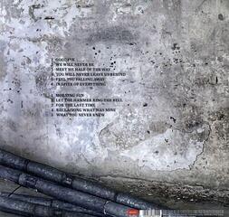 LP plošča Takida - Falling From Fame (LP) - 1