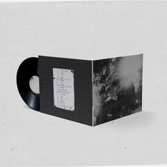 Vinylplate Die Nerven - Live Im Elfenbeinturm (2 LP) - 2