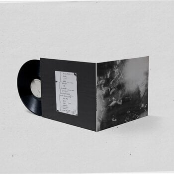 Disco de vinil Die Nerven - Live Im Elfenbeinturm (2 LP) - 3