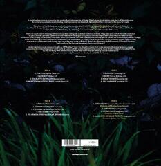 LP ploča Jordan Rakei - LateNightTales (Limited Edition) (Green Coloured) (2 LP) - 1