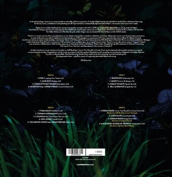 Disc de vinil Jordan Rakei - LateNightTales (Limited Edition) (Green Coloured) (2 LP) - 2