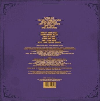 Vinilinė plokštelė Michael Van Merwyk - Move On Down The Line (LP) - 2