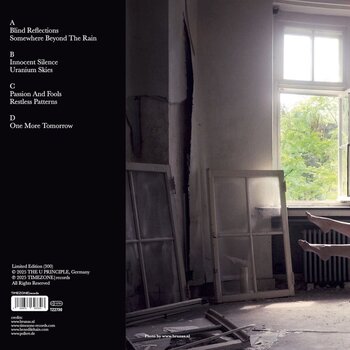 Disc de vinil The U Principle - Innocent Silence (Limited Edition) (2 LP) - 2