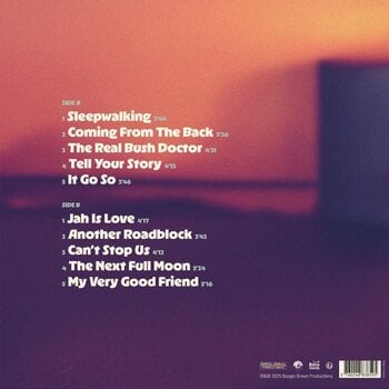 Грамофонна плоча Clinton Fearon - Jah Is Love (LP) - 2