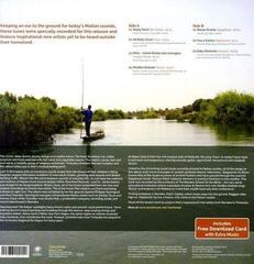 Vinyl Record Various Artists - Lost In Mali (LP) - 1