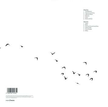 Vinyl Record Deacon Blue - Believers (LP) - 2