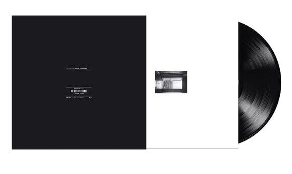 Vinyl Record The Routes - Surfin' Pleasures (LP) - 4