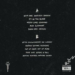 LP ploča The Runnings - Lessons To Learn (Limited Edition) (LP) - 1