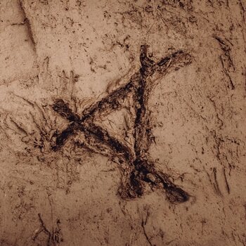 Disco de vinil Cassels - Tracked In Mud (Limited Edition) (LP) - 2