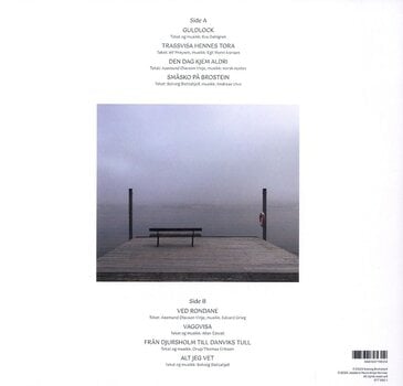 LP ploča Solveig Slettahjell Quartet - Gullokk (180 g) (LP) - 2