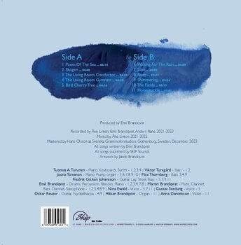 Vinyl Record Emil Brandqvist - Interludes (LP) - 2