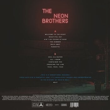 LP ploča The Neon Brothers - The Neon Brothers (LP) - 2