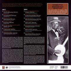 LP ploča Various Artists - The Rough Guide To Jug Band Blues (Limited Edition) (LP) - 1