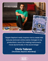 Software Plug-In FX Processor Safari Audio Everything Bundle (Digital product) - 2