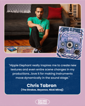 Software Plug-In FX Processor Safari Audio Everything Bundle (Digital product) - 3