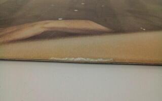 Disque vinyle Gordon Lightfoot - If You Could Read My Mind (Limited Edition) (Audiophile Edition) (Syeor26) (Rhino Reserve) (180 g) (LP) (Juste déballé) - 6