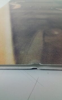 Disque vinyle Gordon Lightfoot - If You Could Read My Mind (Limited Edition) (Audiophile Edition) (Syeor26) (Rhino Reserve) (180 g) (LP) (Juste déballé) - 8