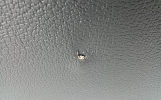 Étui basse Pasadena HS-REBC300 Étui basse (Endommagé) - 3