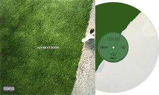 Vinyl Record Maine - Joy Next Door (Green/White Coloured) (LP) - 1