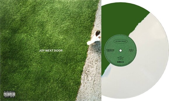 LP ploča Maine - Joy Next Door (Green/White Coloured) (LP) - 2