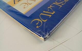 Disco de vinilo Iron Maiden - Powerslave (40th Anniversary) (Limited Edition) (Zoetrope) (LP) (Recién desempaquetado) - 2