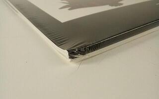 Disco de vinilo Gorillaz - Demon Days (2 LP) (Recién desempaquetado) - 2