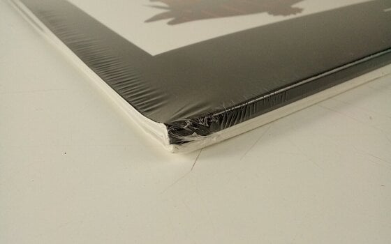 Disco de vinilo Gorillaz - Demon Days (2 LP) (Recién desempaquetado) - 3