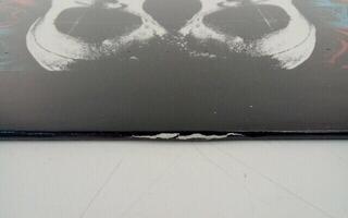 Hanglemez Deftones - Deftones (LP) (Csak kicsomagolt) - 3