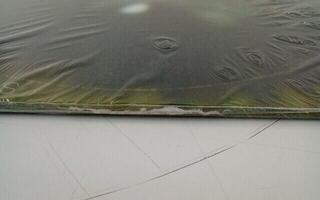 Vinyl Record Deftones - Saturday Night Wrist (LP) (Just unboxed) - 3