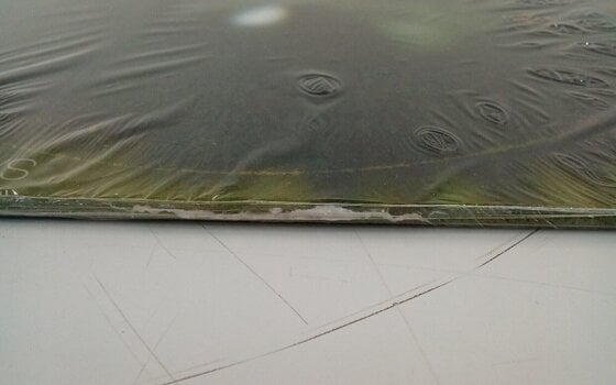 Hanglemez Deftones - Saturday Night Wrist (LP) (Csak kicsomagolt) - 4