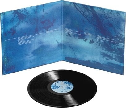 Vinüülplaat Ed O'Brien - Blue Morpho (LP) - 2
