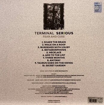 LP plošča Terminal Serious - Fear And Cure (Limited Edition) (LP) - 2